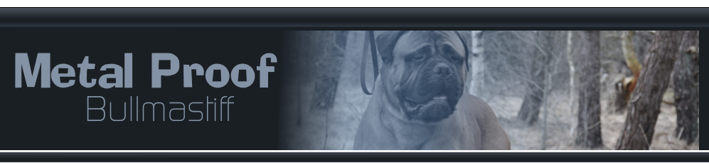 Metal Proof Bullmastiff