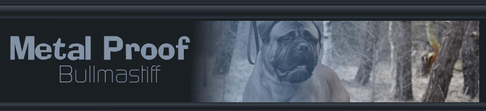 Metal Proof Bullmastiff