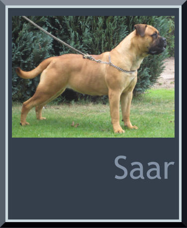 Saar